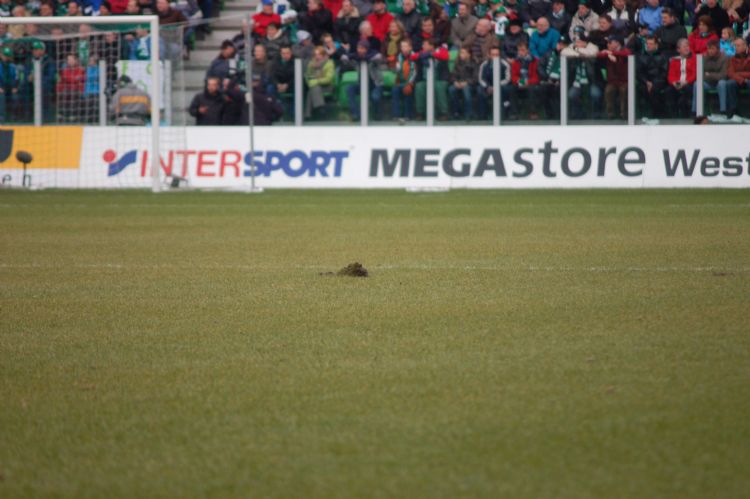 De norm moet ertoe leiden dat de omstandigheden voor spelers in alle stadions gelijk zijn. De norm moet ertoe leiden dat de omstandigheden voor spelers in alle stadions gelijk zijn.