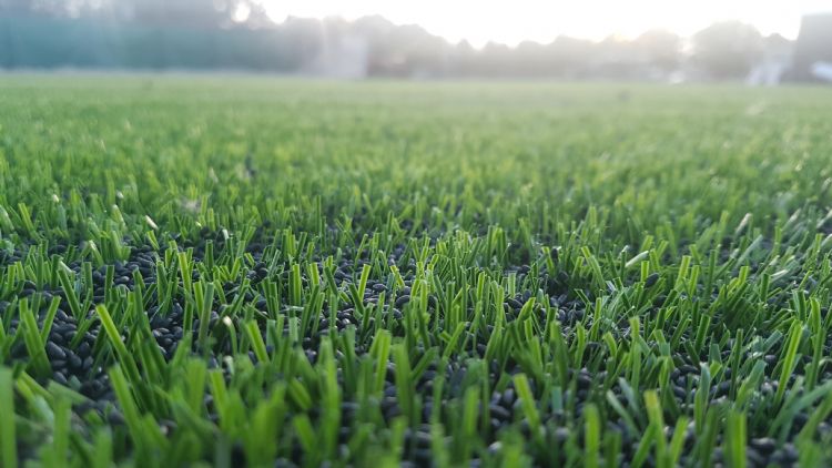 Senbis GreenFill op kunstgras Senbis GreenFill op kunstgras