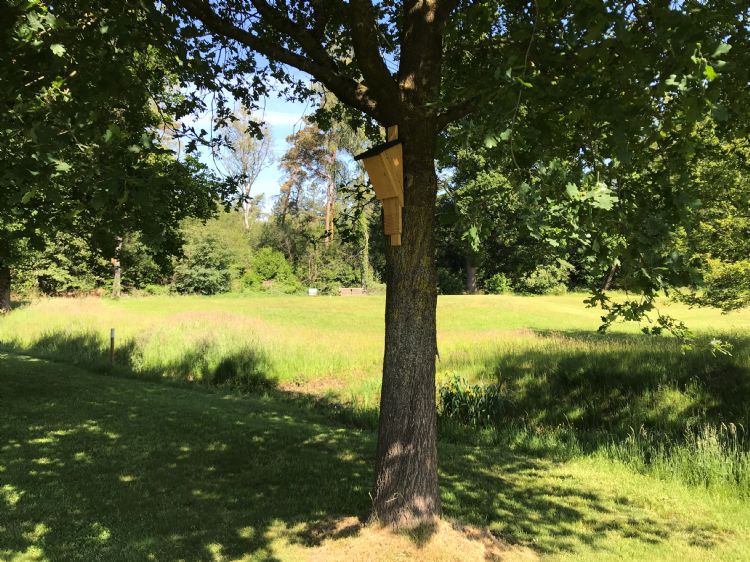 Vleermuizenkast langs de golfbaan Vleermuizenkast langs de golfbaan