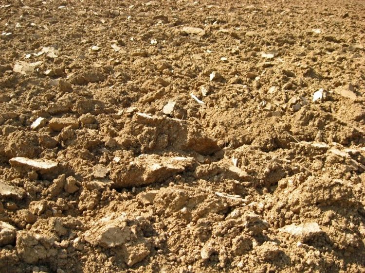 Door droogte extra verzilting