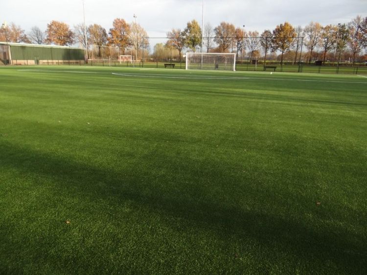 Het non-infill kunstgrasveld bij WEC.