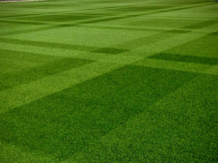 Er gaat niets boven een mooi patroon in de grasmat.