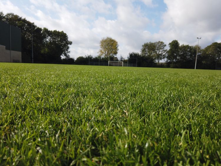 Het eerste webinar op 8 september gaat over milieuvriendelijk beheer van grassportvelden.