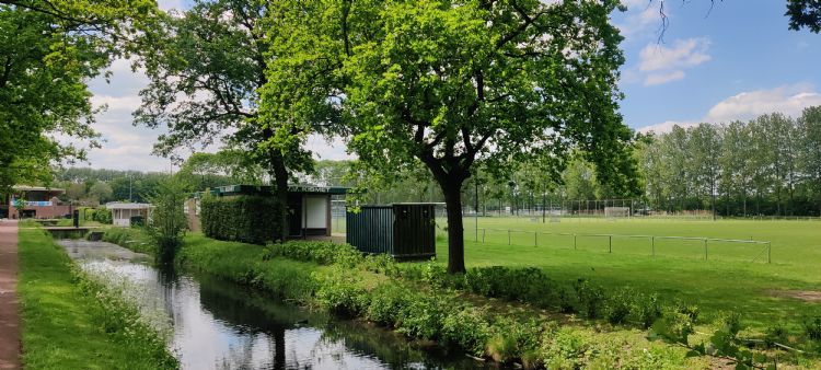 Sportpark Zuilen is de plek waar grasfanaten donderdag 8 juni samenkomen.e