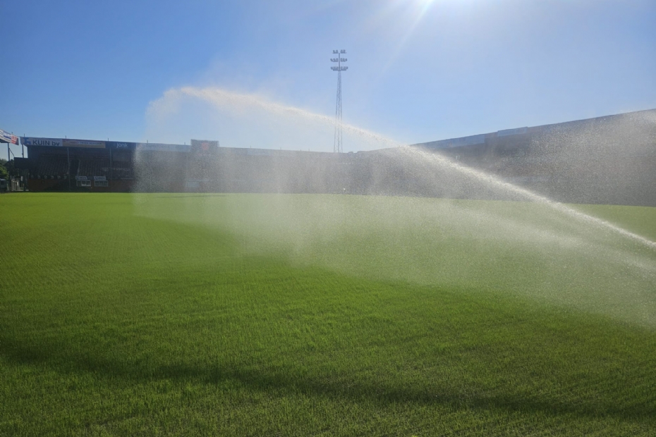 Het nieuwe veld wordt beregend.