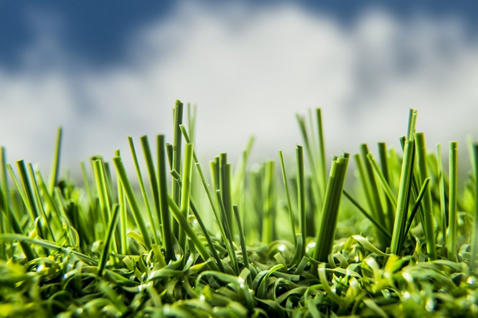 Nonfill kunstgras van TenCate